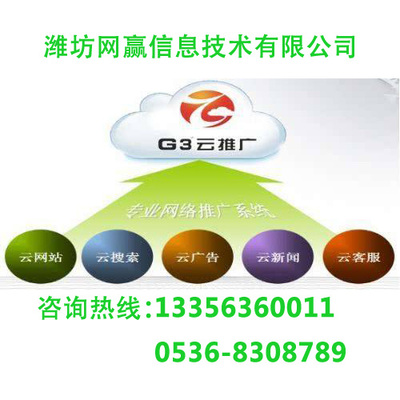 棗莊G3云推廣 按需定制技術方案，成效顯著